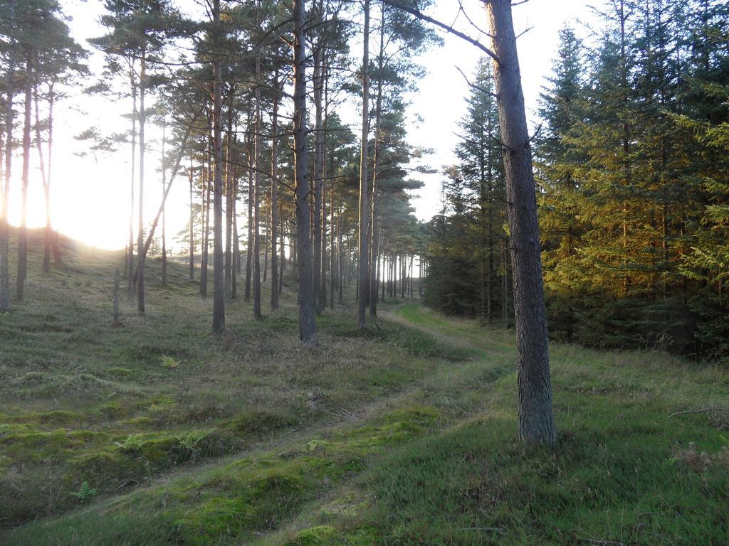 Bed and Breakfast Tvillinggaard Thy Vang  Экстерьер фото